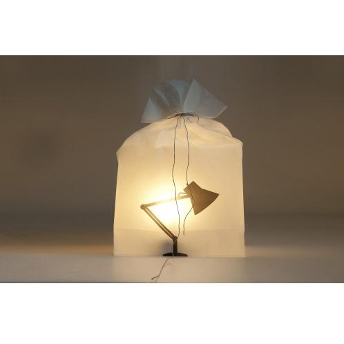 Paper lamp_ Desk lamp
